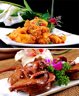 阶段教学 实操为主